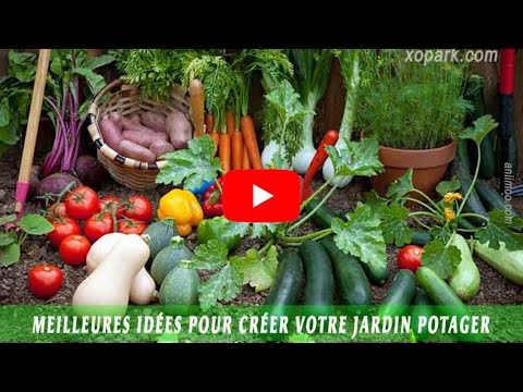 Meilleures idées pour créer votre jardin potager   Cultures successives