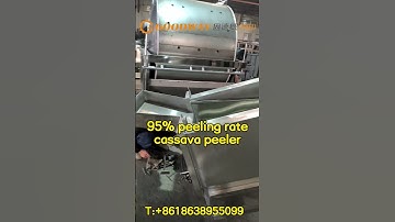 95% peeling rate cassava peeling machine hot sale cassava peeler