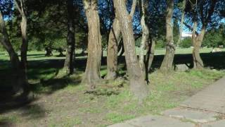 Nº 38 CONOCER GALICIA Paseo por la vereda del Río Miño LUGO ESPAÑA