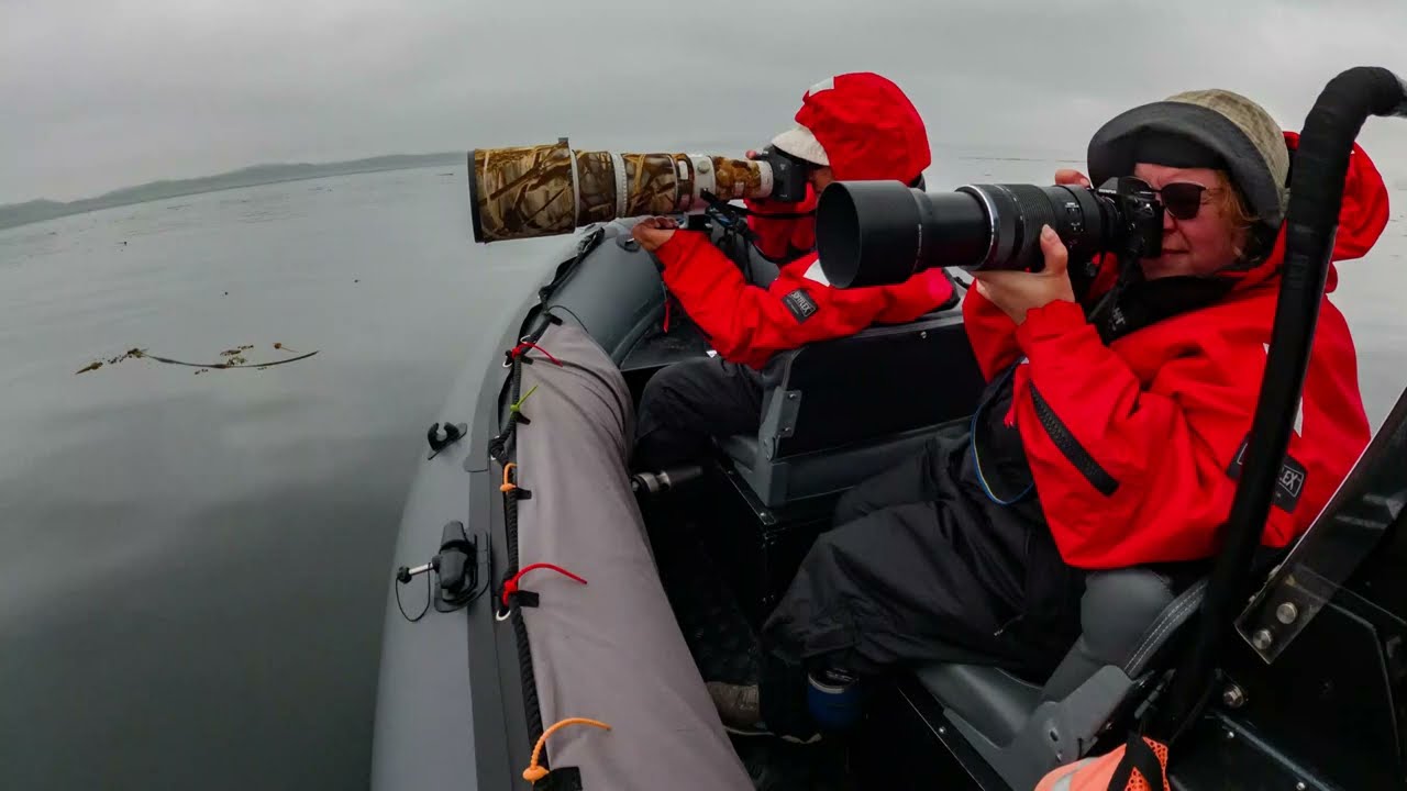 2023 Marine Tours Northern Vancouver Island Port McNeill BC YouTube