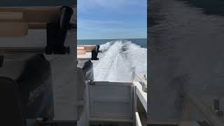 Quick trip to Weerdee Island (very quick)