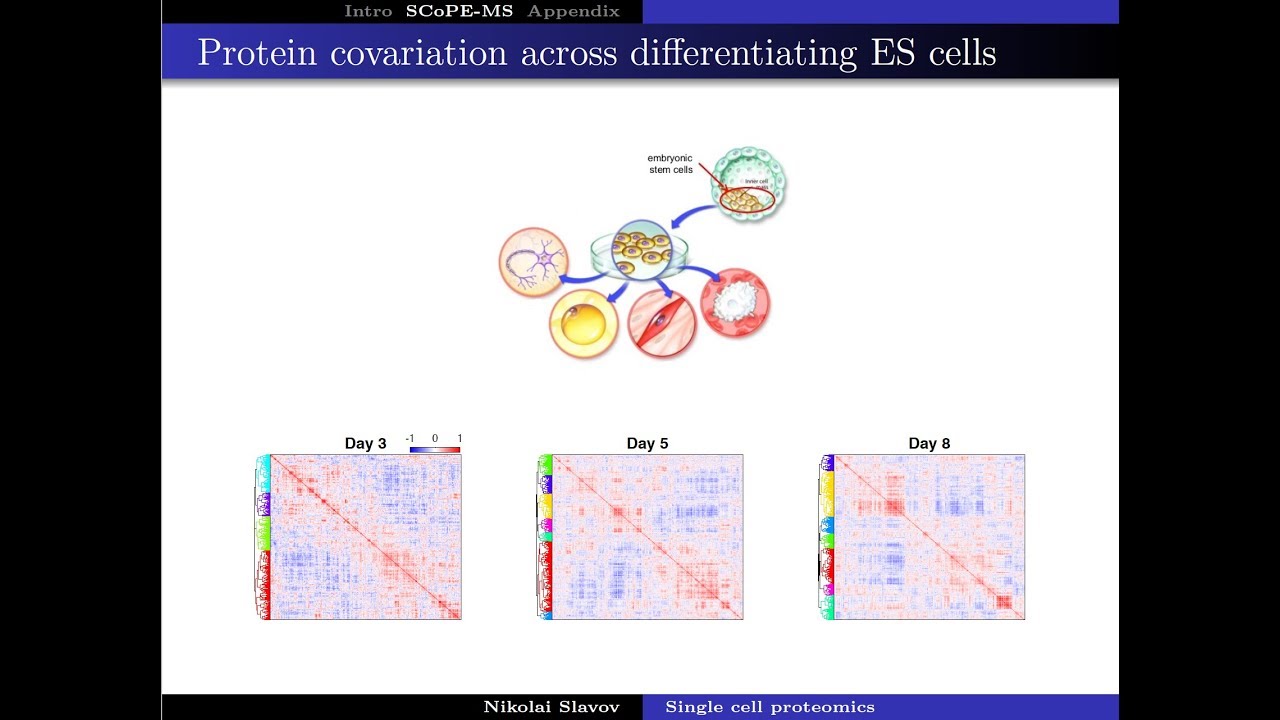 Single Cell Proteomics By Mass Spectrometry