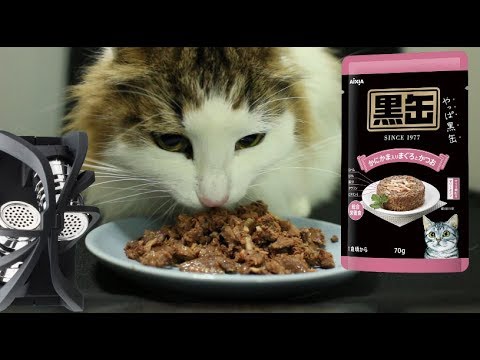 ［ASMR］猫が餌を食べる動画［黒缶 パウチ かにかま入りまぐろとかつお］