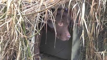 Blind Building part 3