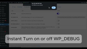 WordPres Debug Log Manager Tool
