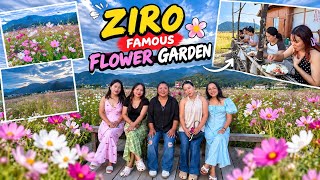 Viral Flower garden of Ziro music festival 😊/Arunachalpradesh