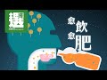 無糖 低糖飲品同樣可致肥 甜味劑飲品健康啲 無糖 低糖飲品同樣可致肥 甜味劑飲品健康啲