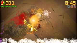 Fruit Ninja 5Th 2324 World Record