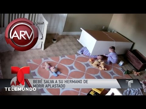 Video: Perro de rescate anteriormente descuidado es golpeado con su hermano bebé humano