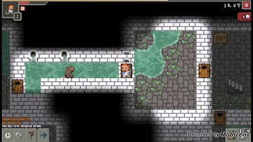 Pixel Dungeon Warrior Walkthrough Part 2 - Another Go! (Tutorial and Tips and Tricks)