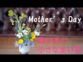 【生け花】母の日に生ける母子草【ikebana】100均の剣山に野の花/Mother's day flowers/母親節的花朵/Fleurs de fête des mères/Muttertag
