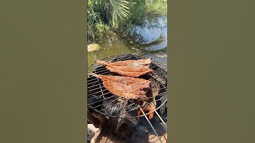 Khô chấm mắm me + Cơm chan nước dừa tươi #miềntây #chill #mientay