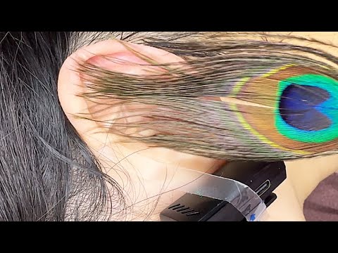 ASMR 귀이개와 뇌가 만났던😂 귀청소 웃참실패(토킹) ear cleaning bloopers
