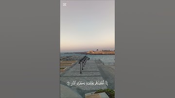 سورة:ص الاية 44 القارئ ماهر المعيقلي صوت يريح القلب 🫀🤍 #ماهر_المعيقلي #ماهر_المعيقلي