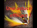 Leurre pour diminuer les bredouilles