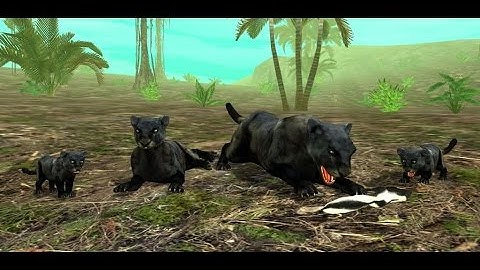 Wild Panther Sim 3D: Rainforest RPG Adventures - Android / iOS - Gameplay