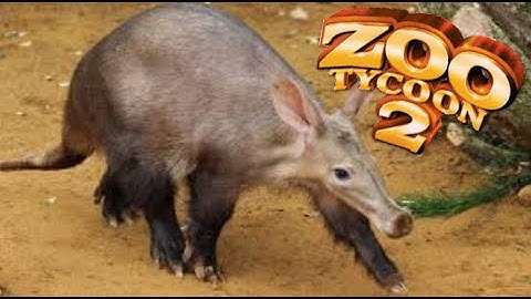 Aardvark - Zoo tycoon 2 Exhibit Speed Build
