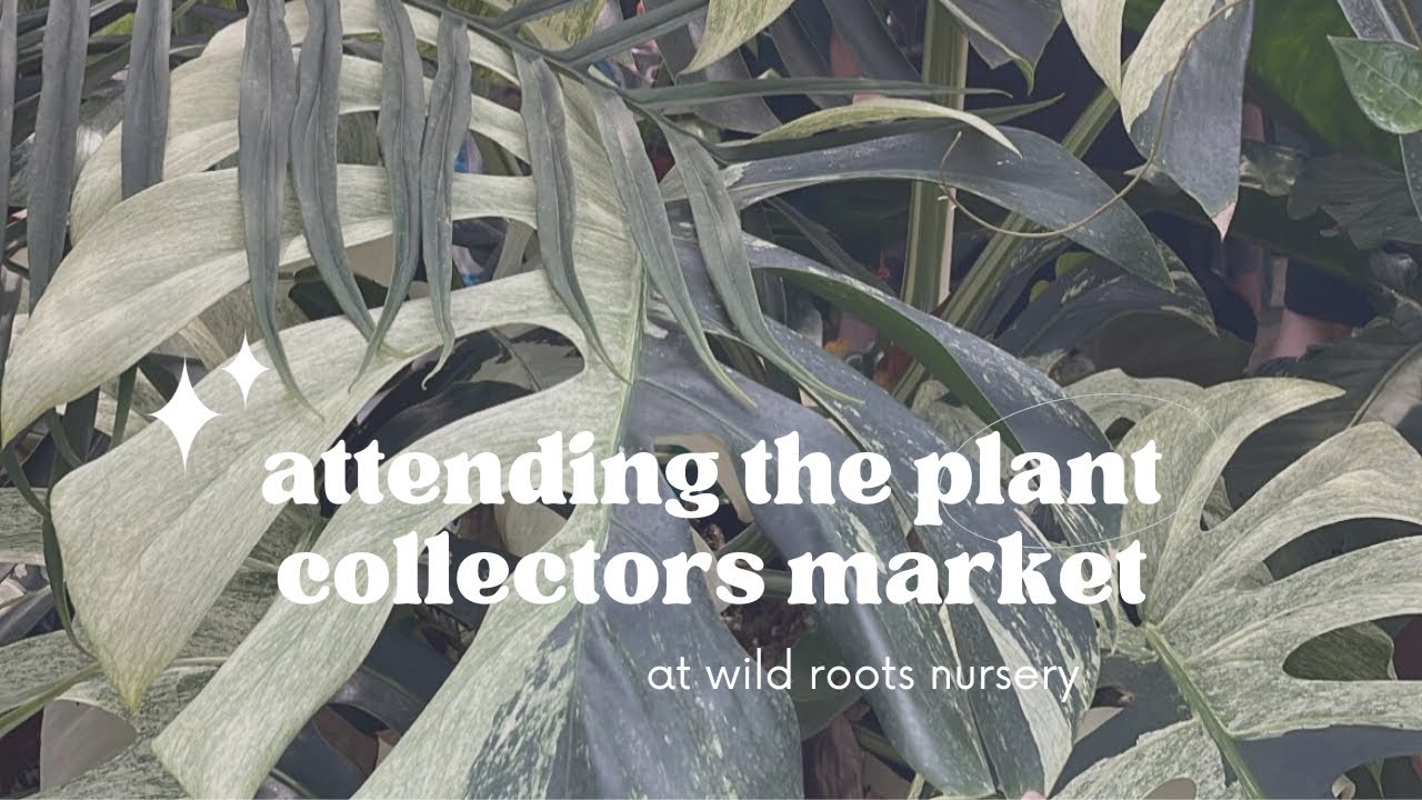 Attending the Plant Collector’s Market at Wild Roots Nursery in New