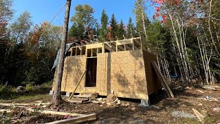 Starting the Roof for Our Off-Grid DIY Cabin