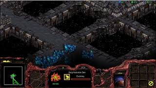 Starcraft Brood War Zerg The Finale