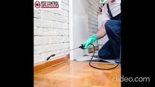 Pest Control Fyshwick | Pest Control in Fyshwick | Fyshwick Pest Control