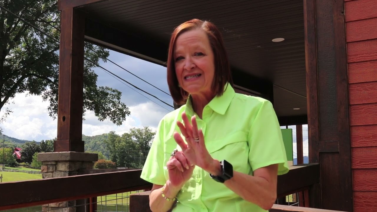 Visitors' Information Channels - Smokies Summer