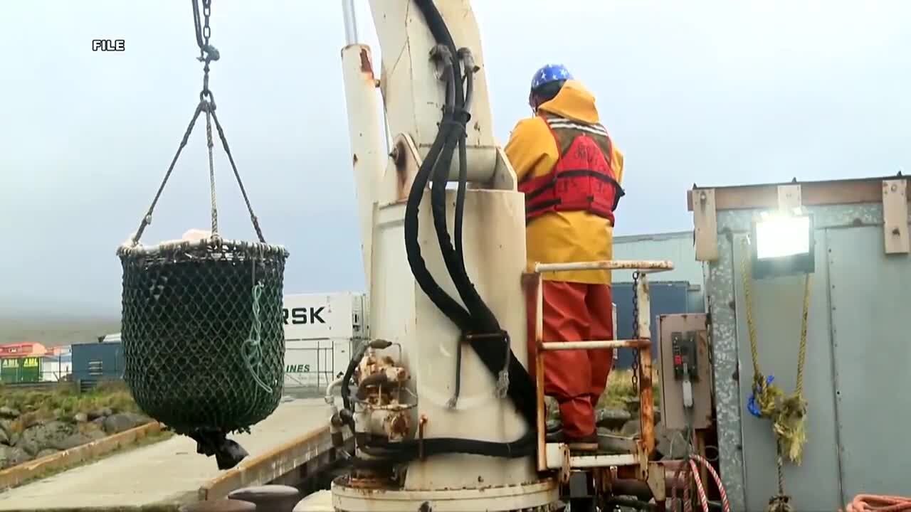 2024-25 Bering Sea snow crab harvest sees promising numbers, despite back-to-back cancelled seaso...