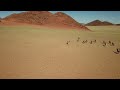 When the rains come to the Namib Desert