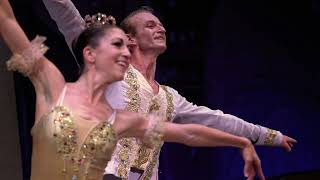 Nutcracker In July 2026 – The Dream