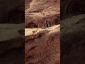 Desert Rebirth: Uncovering Ancient Secrets and Nature's Renewal #DesertMysteries #NatureRevealed