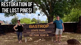 The Rebirth Of The Lost Pines - Bastrop State Park in Texas! by Outside by Side 3,549 views 1 year ago 13 minutes, 6 seconds