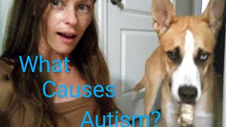 WHAT CAUSES AUTISM?// by AuDHD~Queen 74 views 10 months ago 2 minutes, 23 seconds