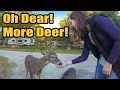 Oh Dear! More Deer! - Ep. 27 Full Time RV Living