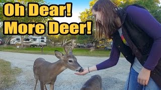 Oh Dear! More Deer! - Ep. 27 Full Time RV Living