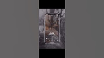 إِنَّ ٱللَّهَ وَمَلَـٰٓئِكَتَهُۥ يُصَلُّونَ عَلَى ٱلنَّبِىِّ ۚ سورة الأحزاب - اية 56
