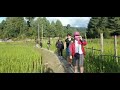 #Best place to visit || Ziro Valley || Arunachal pradesh || Northeast India