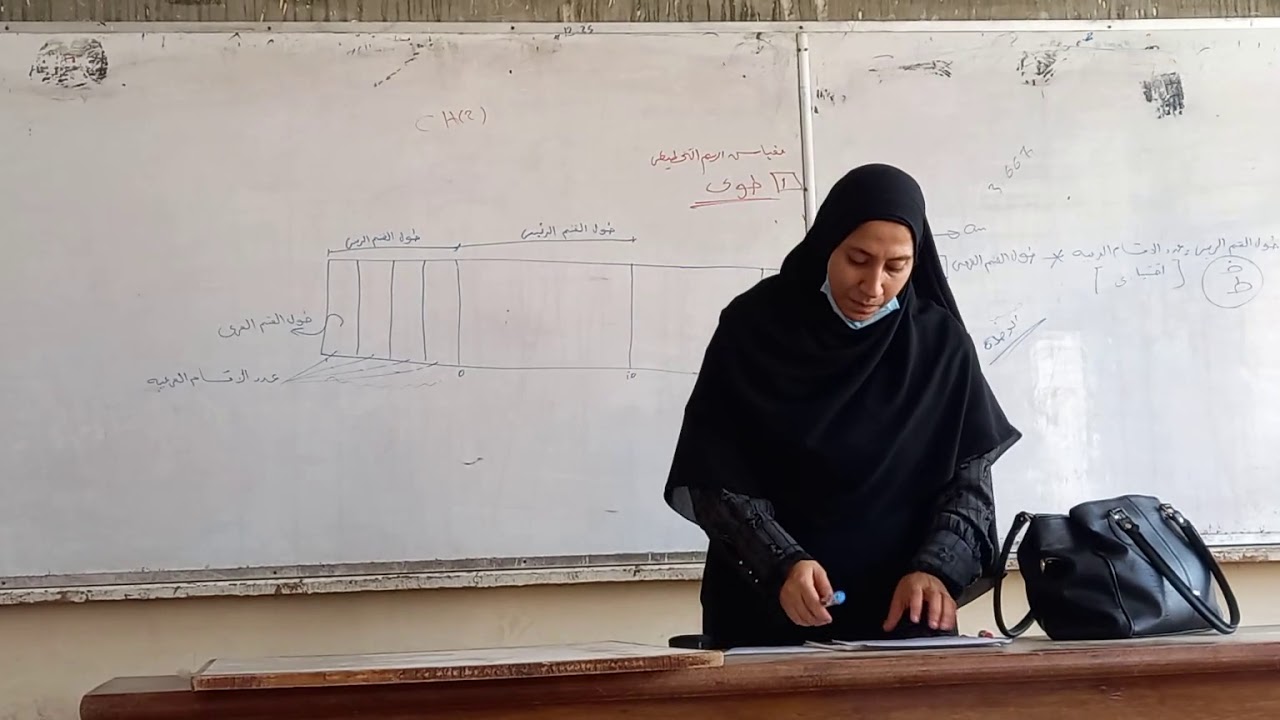 مقياس الرسم الطولى والشبكى