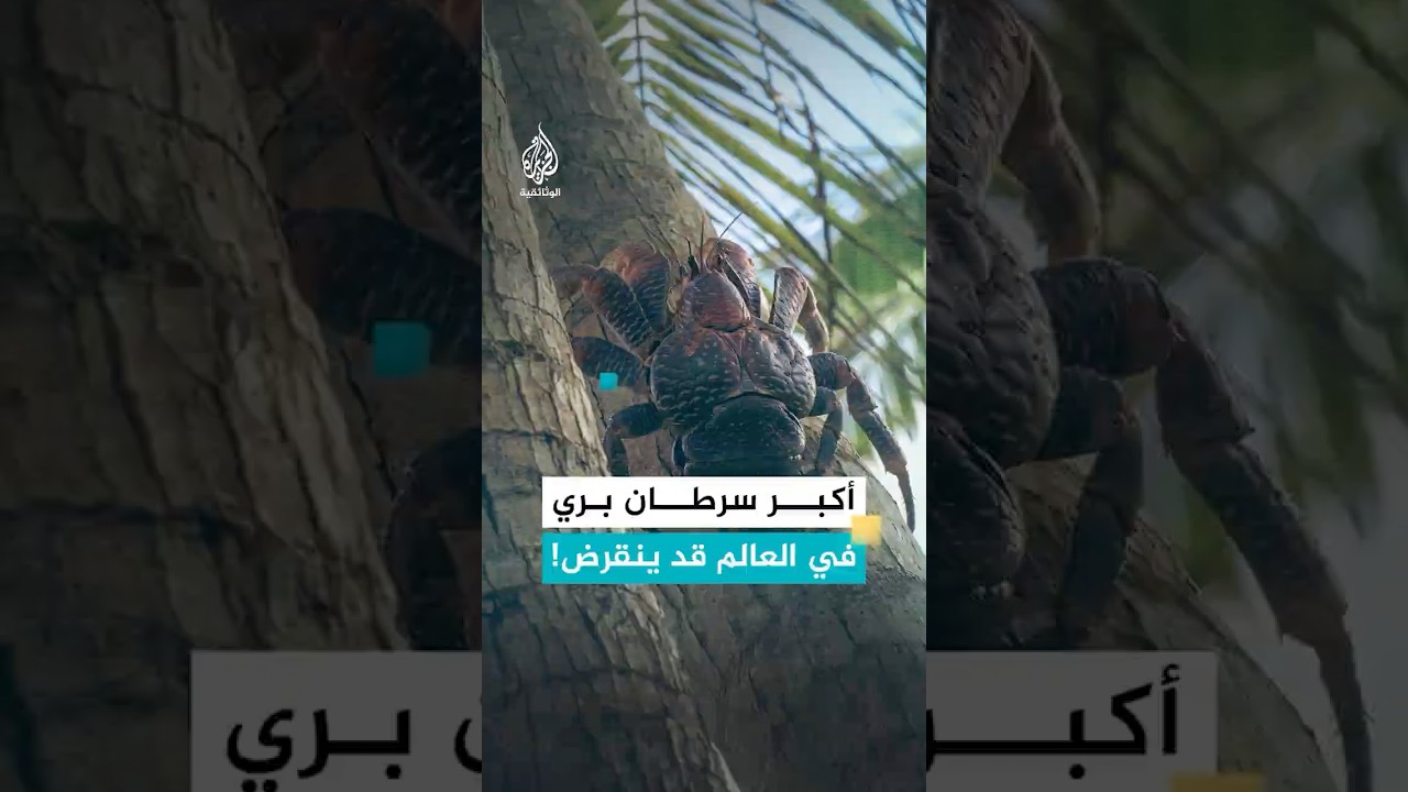 "السرطان السارق" كيف يعيش لـ90 عاما؟