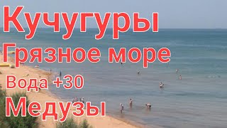 Кучугуры, Азовское море ,вода +30, Медузы жалят.