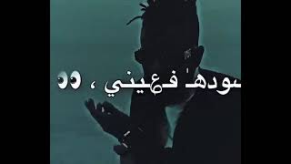 يا ريتك خليتني غارق في سيلي