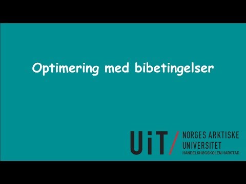 Optimering med bibetingelser