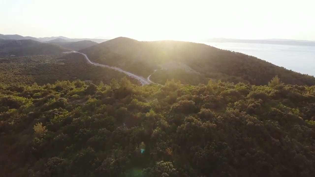 nature background video no copyright | free natural video |