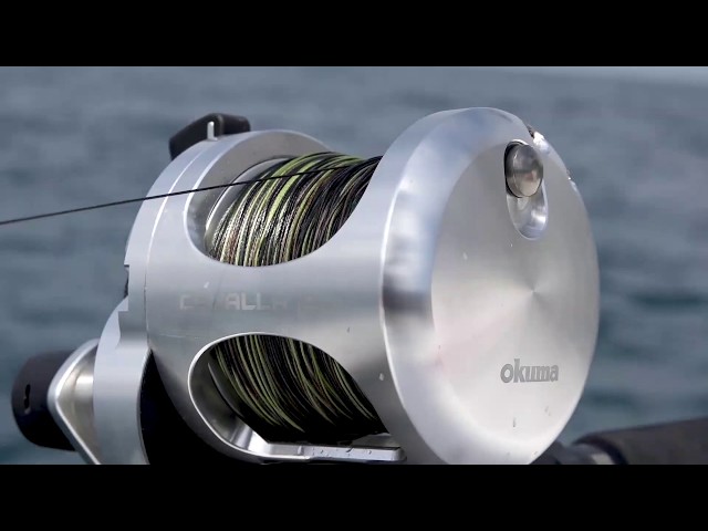 NEW Cavalla Lever Drag Reels- By Okuma 