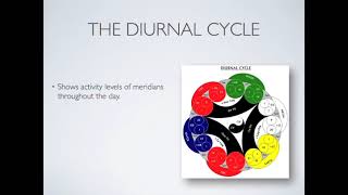 Acupuncture Meridians, Five Element Theory & The Diurnal Cycle