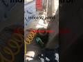 Indica V2 petrol AC blower clean #AC blower remove Indica V2 petrol #Indica V2#AC blower#clean#