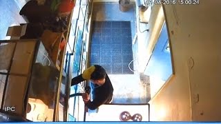 Watch This Man Steal A Python From A Pet Store By Shoving It Down His Pants