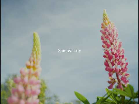 Sam & Lily | Full Wedding Film