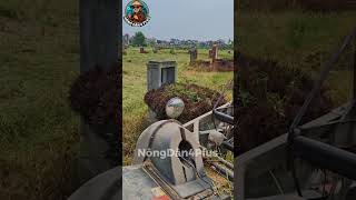 cắt lúa mà gặp địa hình như này tài xế yếu là bó tay liền #nongdan#nongnghiep #shortvideo #mientay