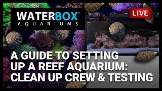 A Guide to Setting Up a Reef Aquarium: Clean Up Crew & Water Testing