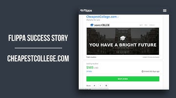 Flippa Success Story - CheapestCollege
